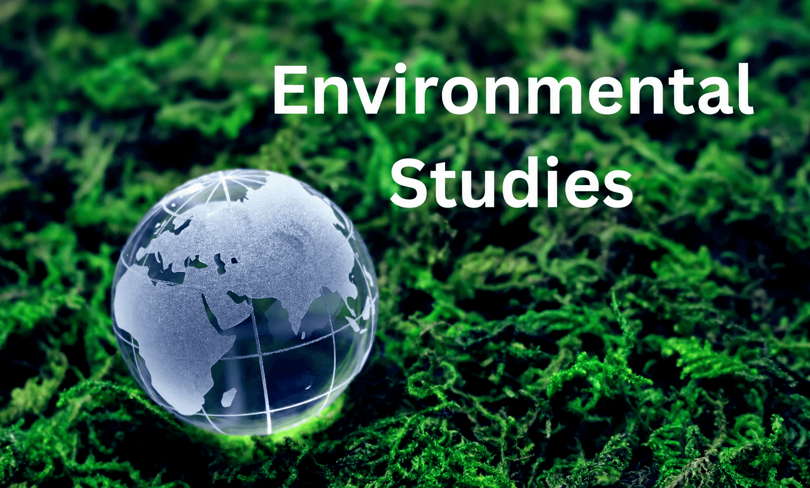 Environmental & Social Studies